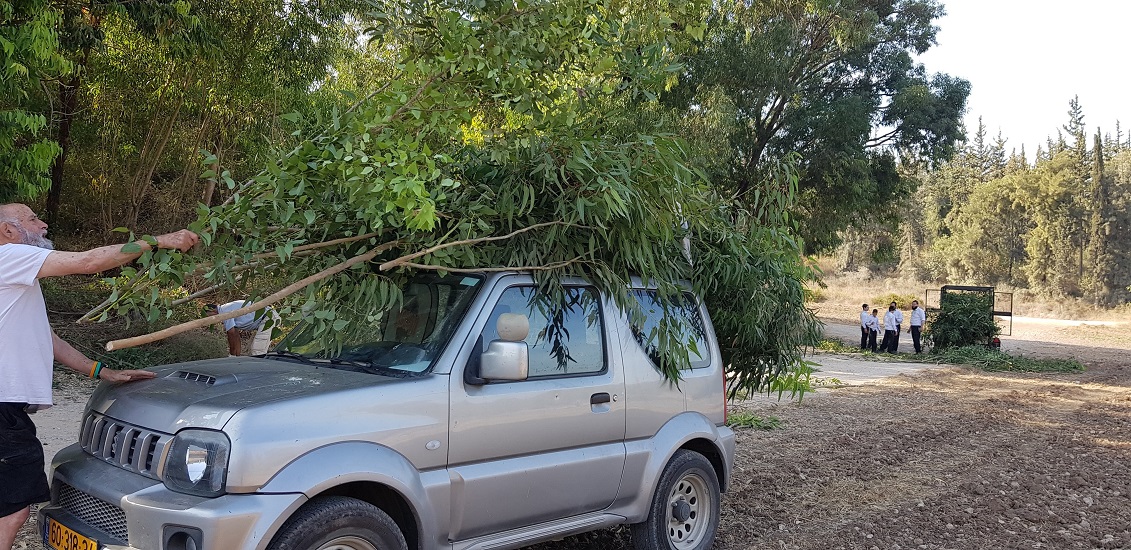 צילום: נטע לסקה, קק"ל