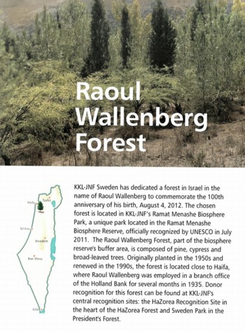חוברת יער ראול ולנברג
