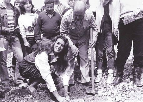 שחקנית הקולנוע ברוק שילדס נוטעת עץ. 1983.