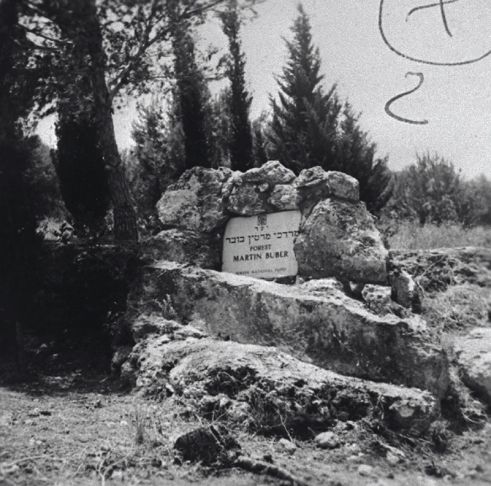 יער מרטין בובר. 1964. תצלום: D3049-038, צילום ארכיון הצילומים של קק"ל