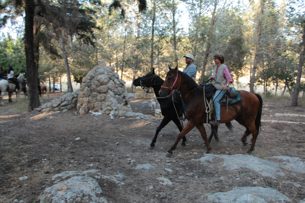 דינה, רונן והסוסים ביער בן שמן. צילום: יואב דביר