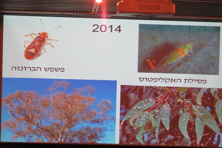 דוגמאות מהרצאתו של צביקה מנדל על הדברה ביולוגית ביער.  צילום: יואב דביר